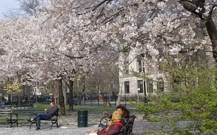 Dr. Ronald McNair Park - Brooklyn, NY