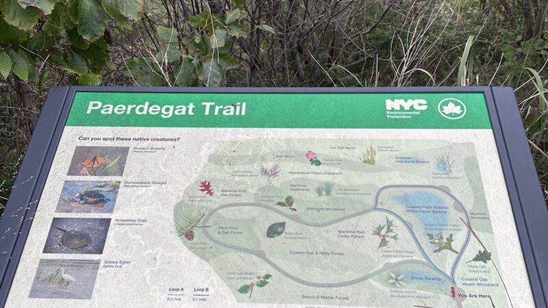 Ecology Park - Brooklyn, NY