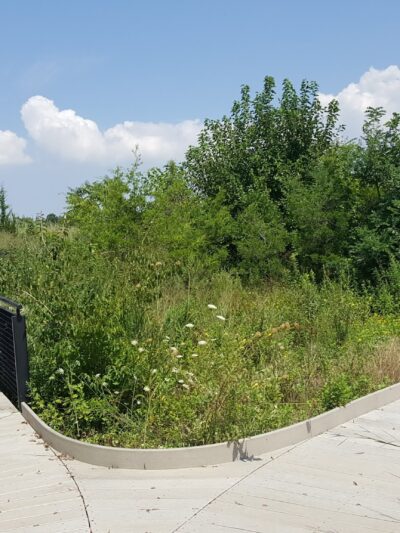 Ecology Park - Brooklyn, NY