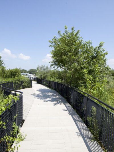 Ecology Park - Brooklyn, NY