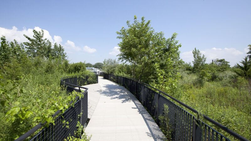 Ecology Park - Brooklyn, NY