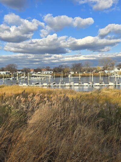 Ecology Park - Brooklyn, NY