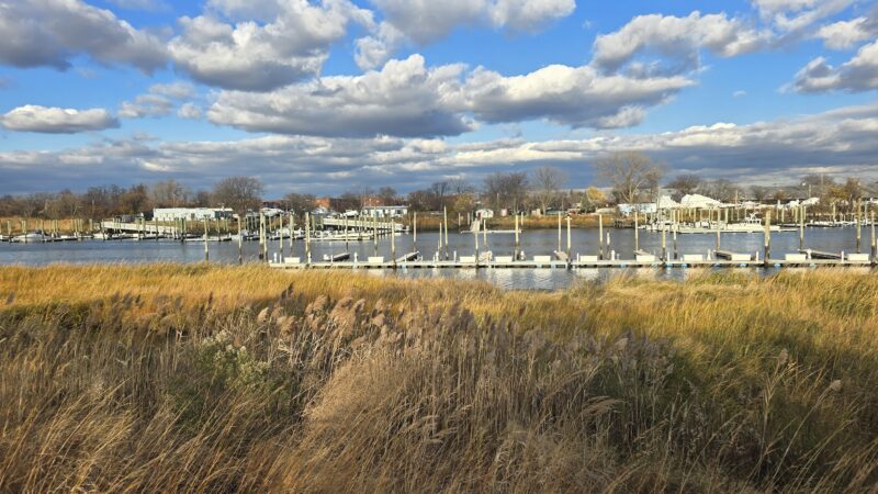 Ecology Park - Brooklyn, NY