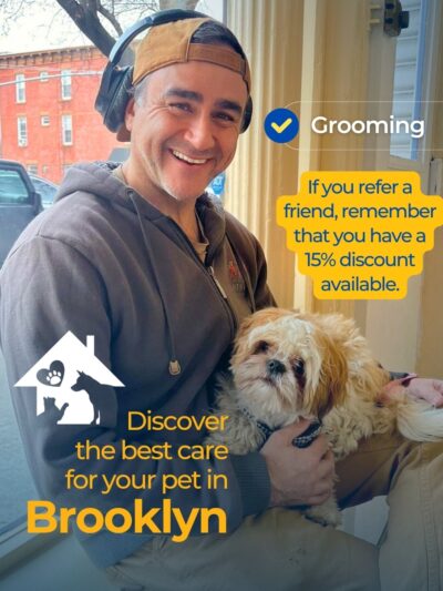 Homedoggy - Brooklyn, NY