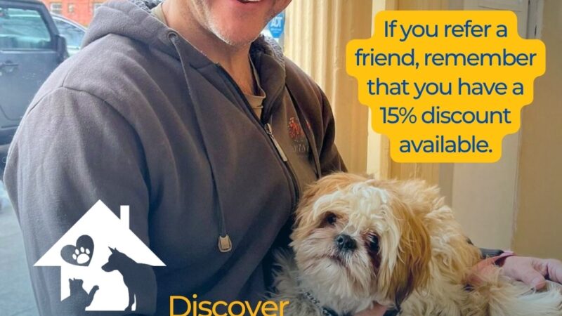 Homedoggy - Brooklyn, NY