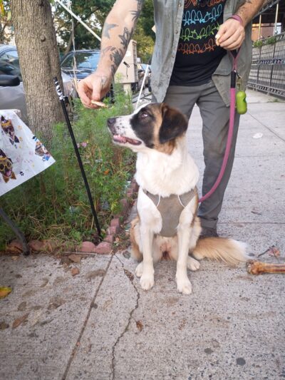 Jackie Robinson Park Playground - Brooklyn, NY