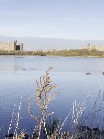 Kaiser Park - Brooklyn, NY