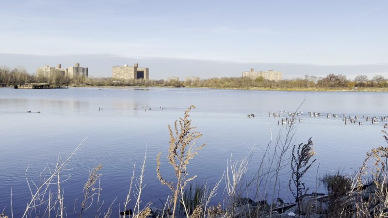 Kaiser Park - Brooklyn, NY