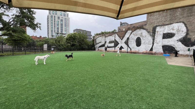 Marcy Green Dog Park - Brooklyn, NY