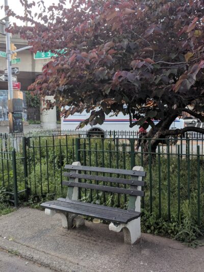 Marcy Green North - Brooklyn, NY