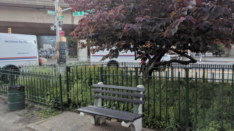 Marcy Green North - Brooklyn, NY