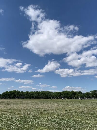 Marine Park - Brooklyn, NY