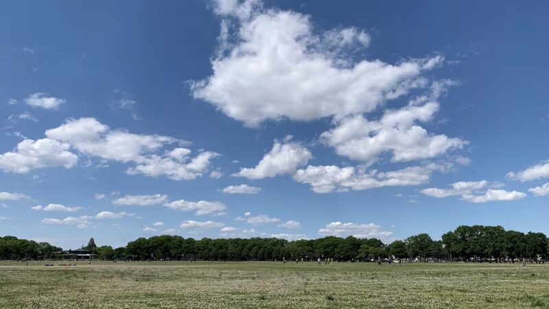 Marine Park - Brooklyn, NY