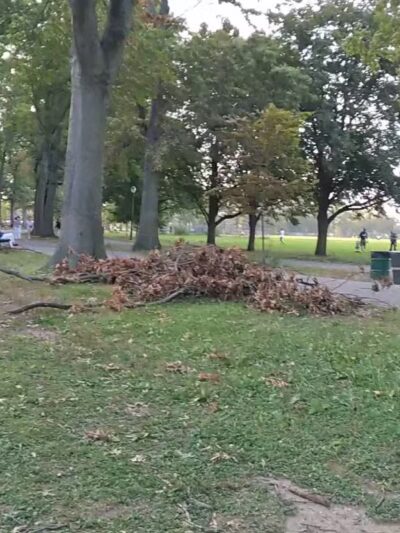 Marine Park - Brooklyn, NY