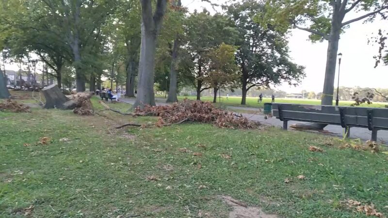 Marine Park - Brooklyn, NY