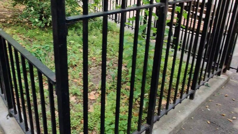 Nicholas Naquan Heyward Jr. Park - Brooklyn, NY