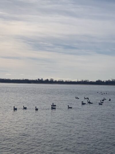 Paerdegat Beach - Brooklyn, NY
