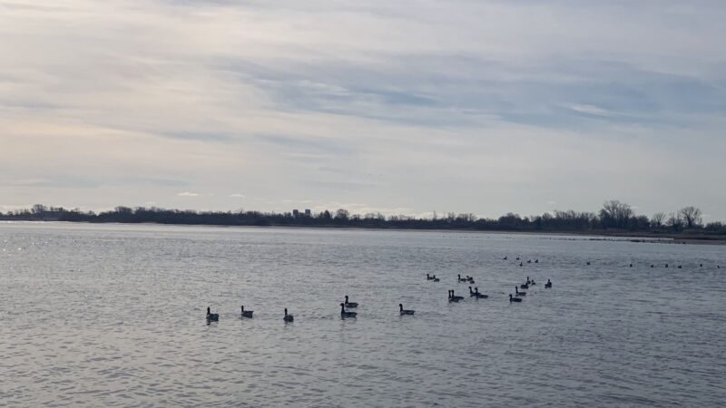 Paerdegat Beach - Brooklyn, NY