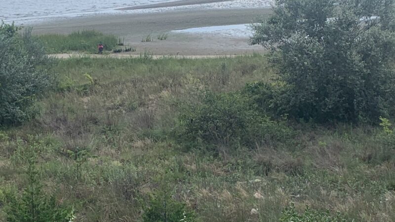 Paerdegat Beach - Brooklyn, NY