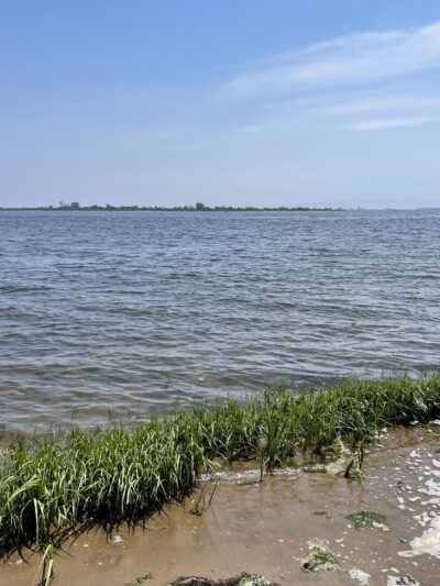 Paerdegat Beach - Brooklyn, NY