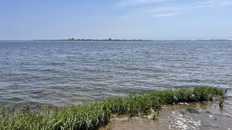 Paerdegat Beach - Brooklyn, NY