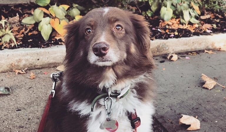 ProspectBArk! - Brooklyn, NY