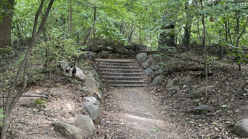 Ravine - Brooklyn, NY
