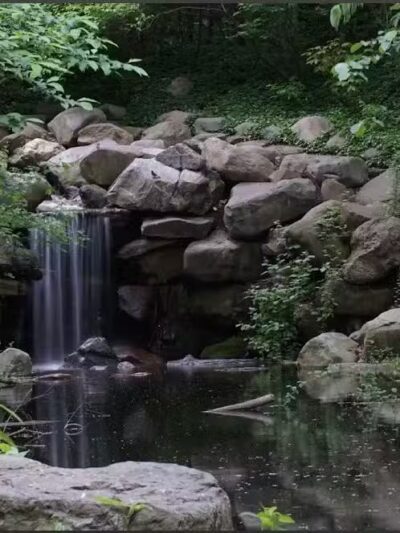 Ravine - Brooklyn, NY