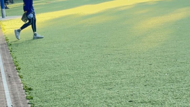 St. John's Park - Brooklyn, NY