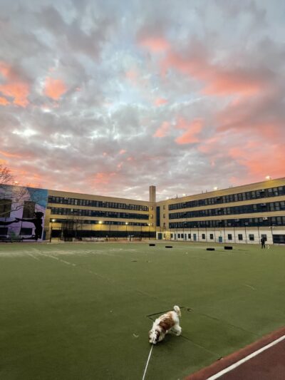 Star Spangled Playground - Brooklyn, NY