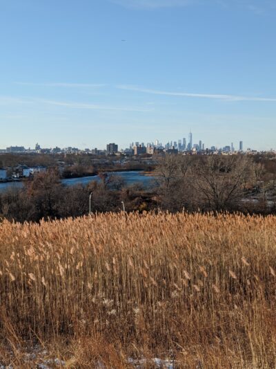 Starrett City Park - Brooklyn, NY