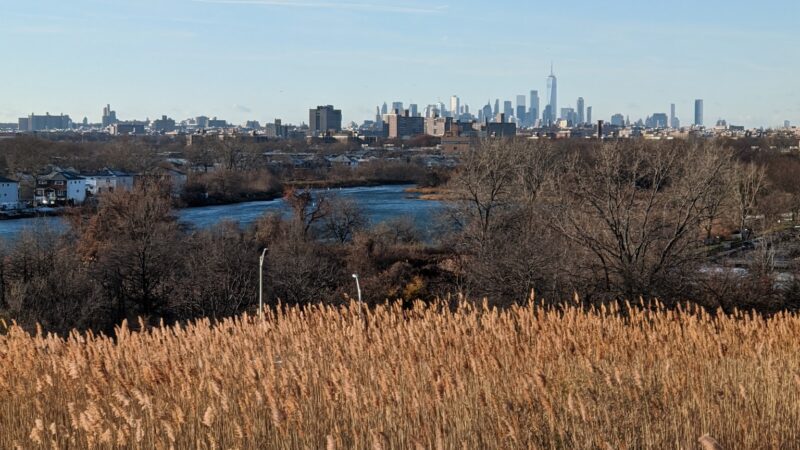 Starrett City Park - Brooklyn, NY