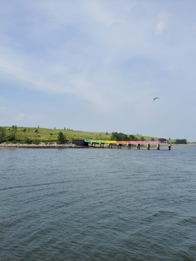 Starrett City Park - Brooklyn, NY