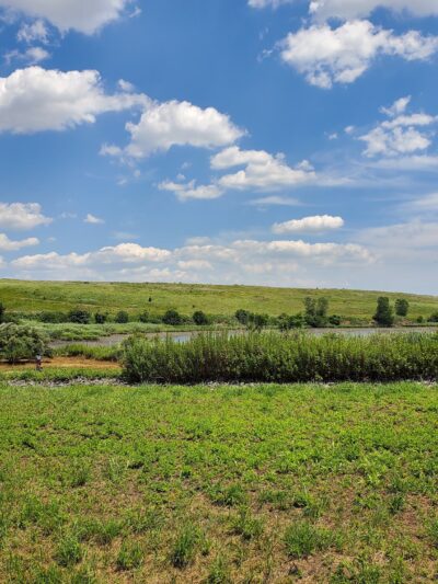 Starrett City Park - Brooklyn, NY
