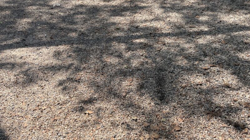 Sternberg Park Dog Run - Brooklyn, NY