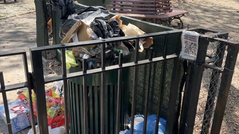 Sternberg Park Dog Run - Brooklyn, NY