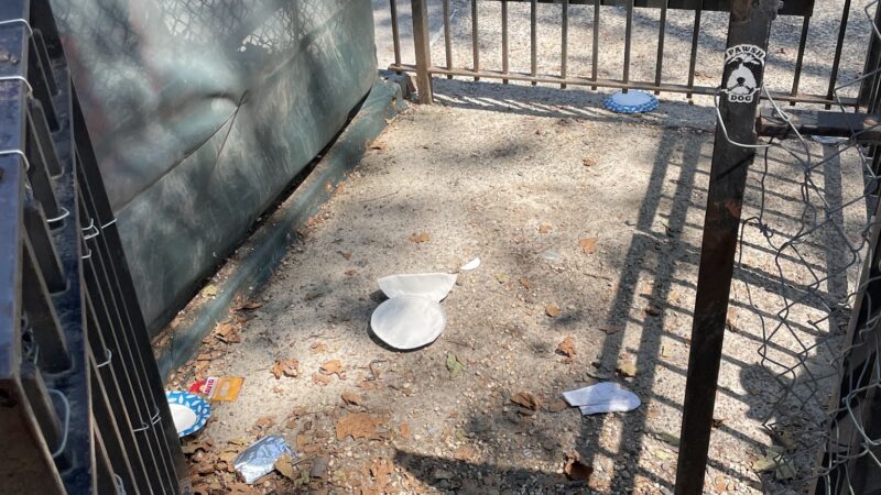 Sternberg Park Dog Run - Brooklyn, NY