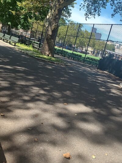 Sternberg Park Dog Run - Brooklyn, NY