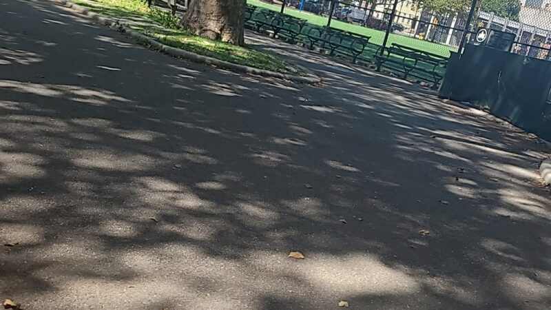 Sternberg Park Dog Run - Brooklyn, NY