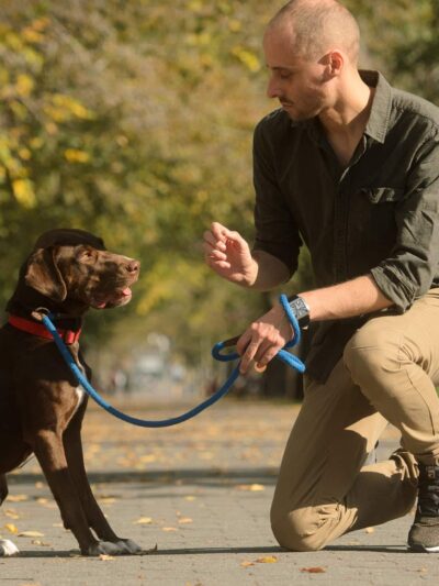 The Dog Behaviorist NYC - Brooklyn, NY