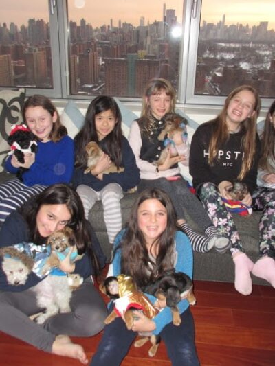 The Original Puppy Party! - Brooklyn, NY