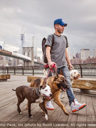 The Peaceful Pack - Brooklyn, NY