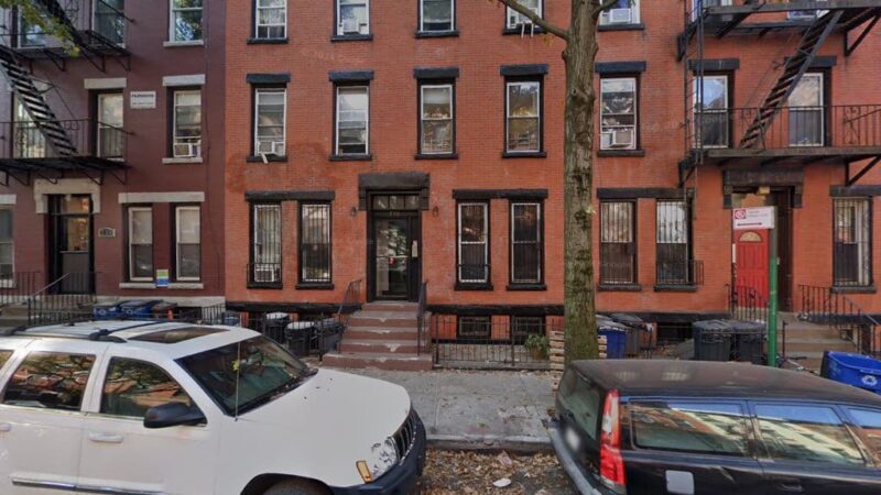 The Peaceful Pack - Brooklyn, NY