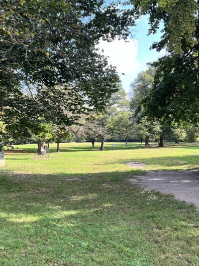 The Peninsula - Brooklyn, NY