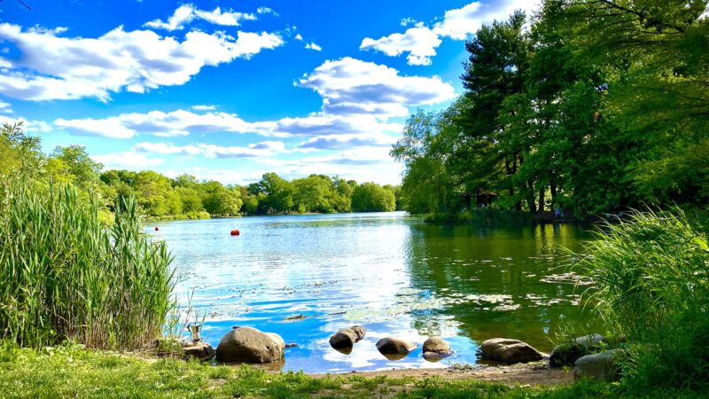 The Peninsula - Brooklyn, NY