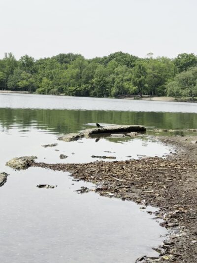 The Peninsula - Brooklyn, NY