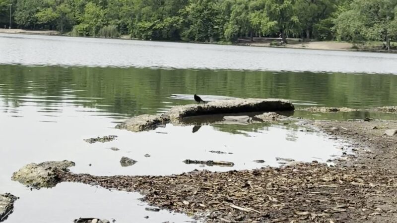 The Peninsula - Brooklyn, NY