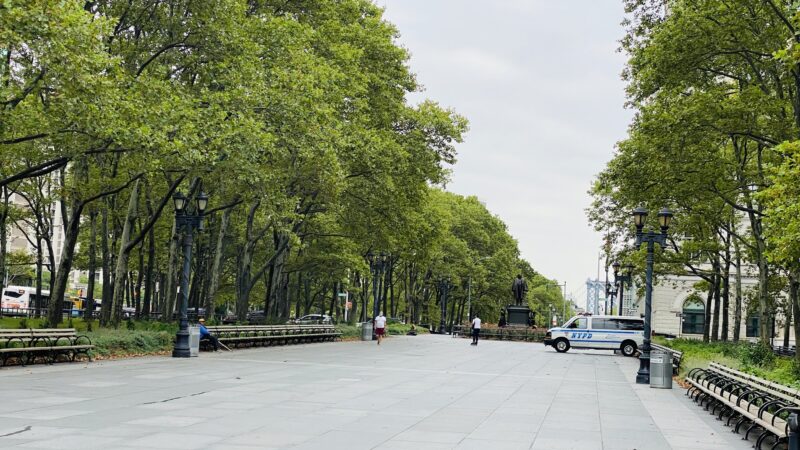 Walt Whitman Park - Brooklyn, NY