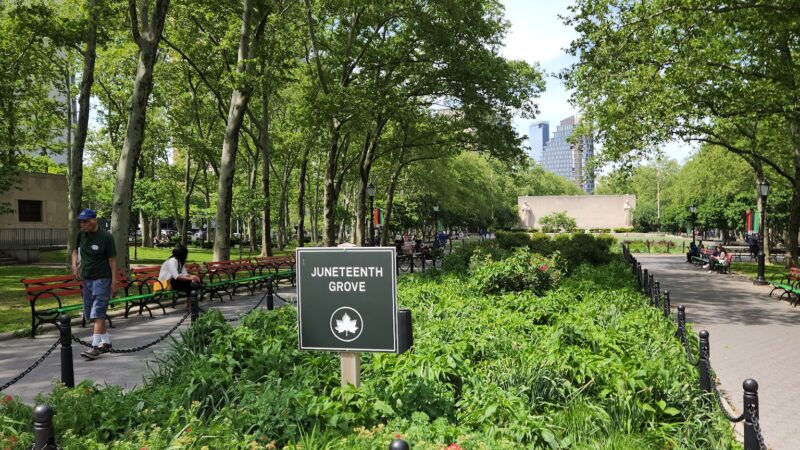 Walt Whitman Park - Brooklyn, NY