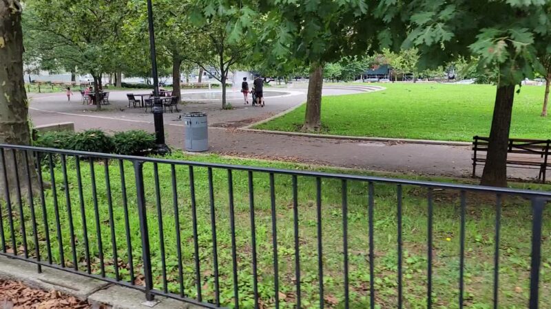 Walt Whitman Park - Brooklyn, NY